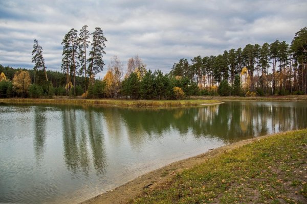 Озеро Лебяжье Ленинградская область