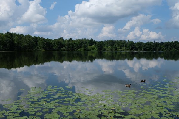 Раифа озеро