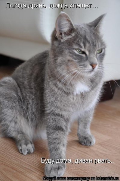 Погода дрянь настроение дрянь