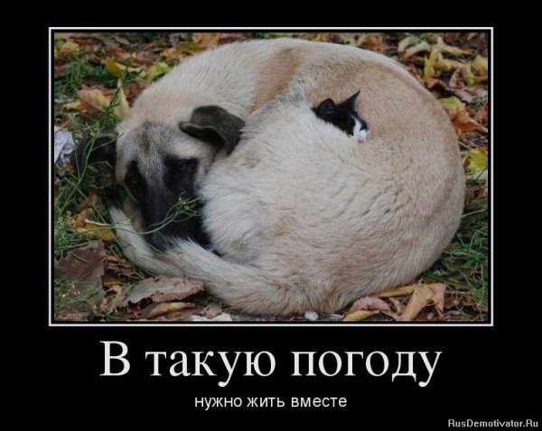 Приколы про погоду