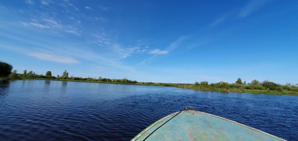 Остров Спасский озеро Воже