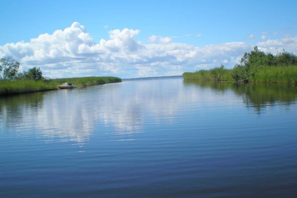 Воже озеро Вологодская область Вологодская