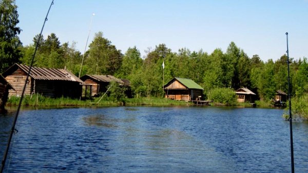 Воже озеро Вологодская область Вологодская