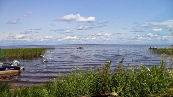 Оз белое Вологодская область