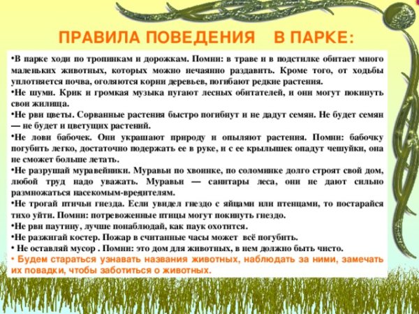 Правила поведения в ПАКЕ
