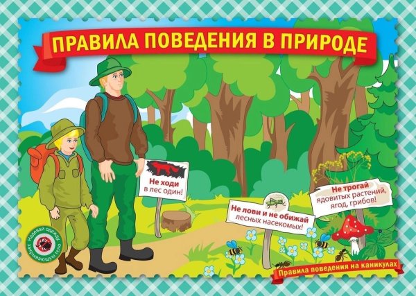 Безопасное поведение на природе