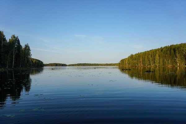 Река Ковжа Вологодская