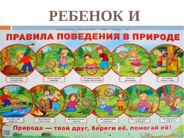 Плакат правила поведения на природе