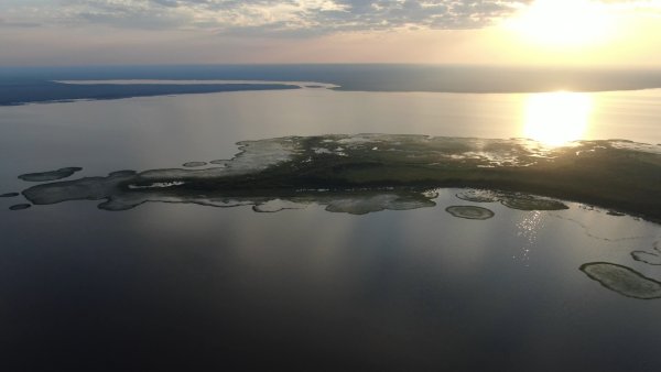 Озеро Воже форма тюленя в Вологодской области