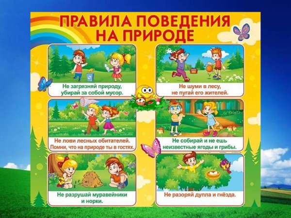 Правила поведения на природе
