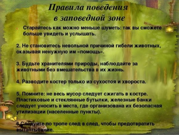 Правила поведения в заповеднике