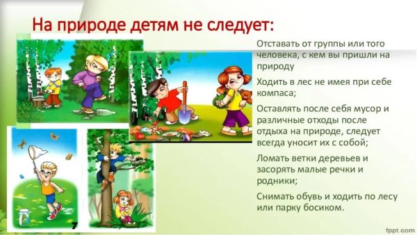 Безопасность на природе