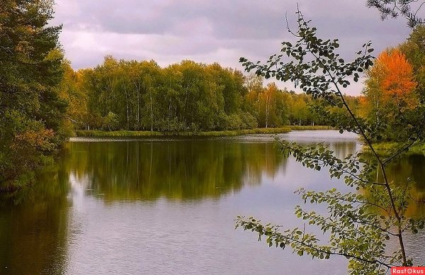 Озеро Самодуровка Урюпинск