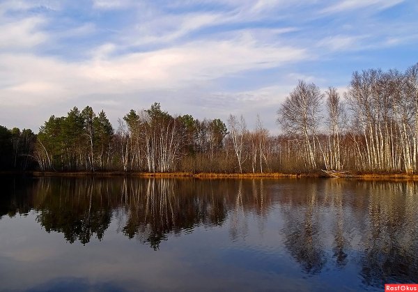Пейзажи Томской области
