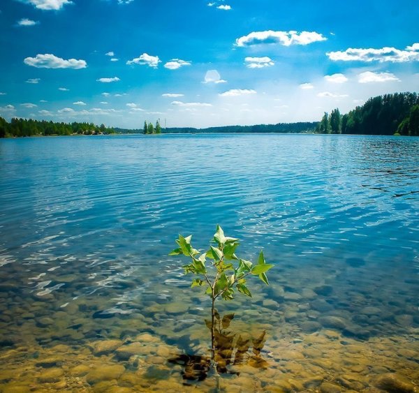Озеро Малукса Ленинградская область
