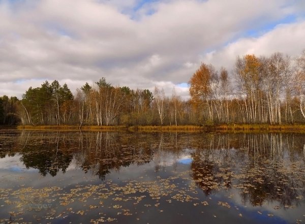 Томская область осень