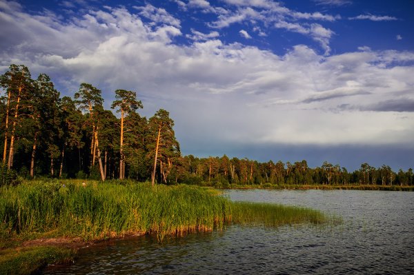 Озеро Исетское Среднеуральск