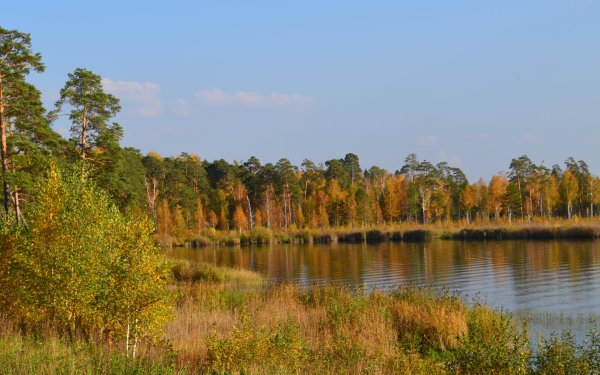 Исеть Среднеуральск