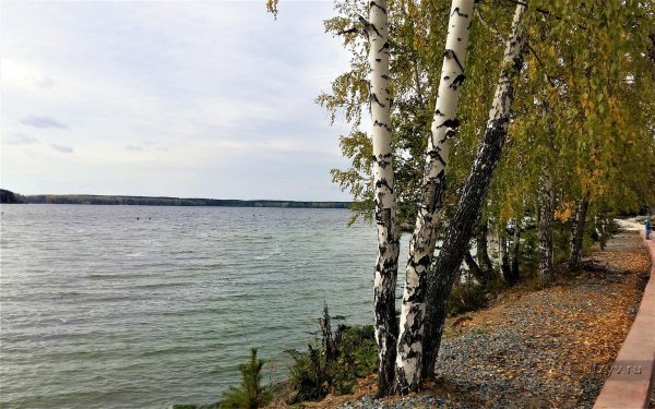 Озеро Исеть Среднеуральск осень
