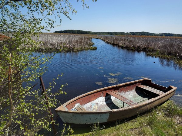 Озеро Исеть