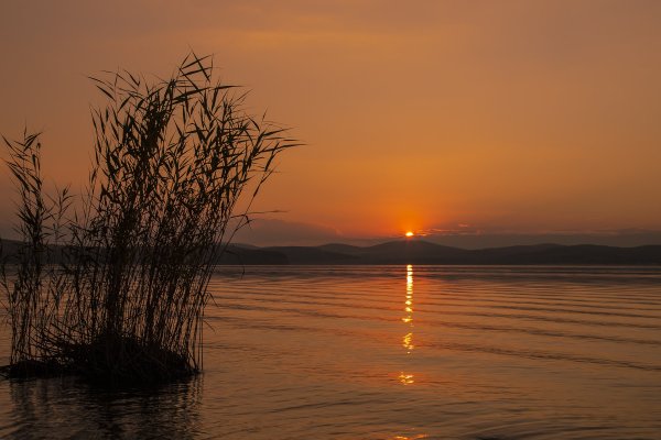 Озеро Исеть