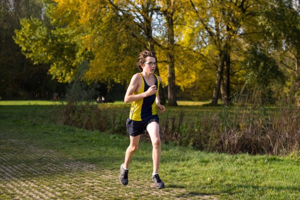 Холланд бег