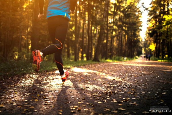 Пробежка в лесу