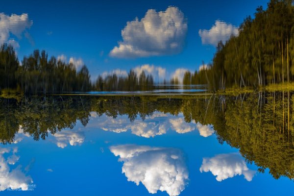 Озеро зеркальное Алтайский край