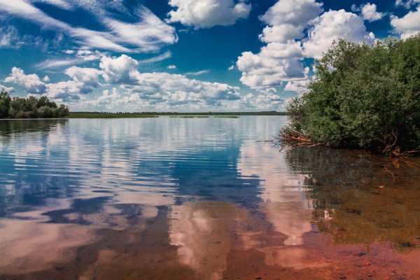Озеро зеркальное Ленинградская область