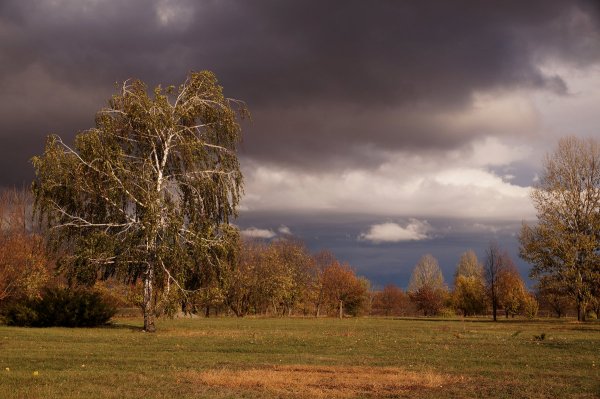 Хмурое осеннее небо