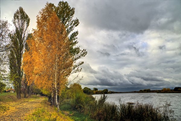 Хмурая осень