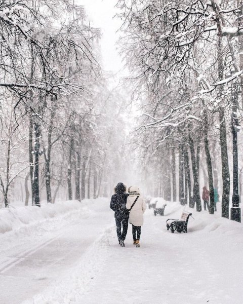 Зимняя прогулка