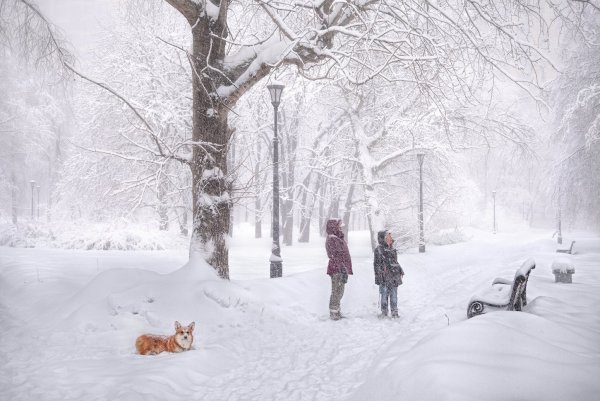 Прогулка по парку зимой