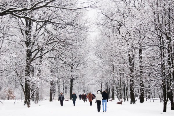 Прогулка в зимнем парке