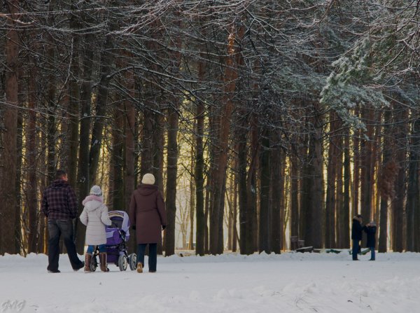 Прогулка в зимнем парке