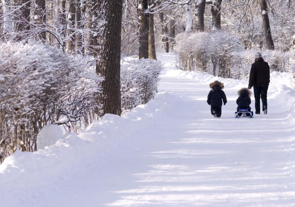Гуляющие в зимнем парке