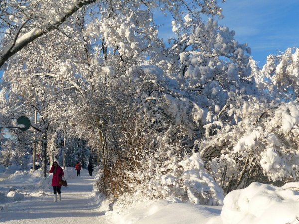 Зимняя прогулка в городе