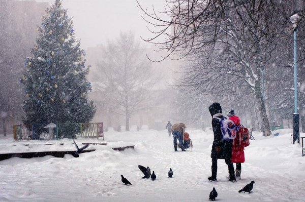 Прогулка в зимнем парке