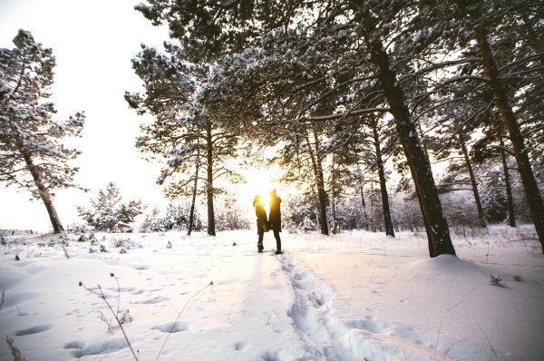 Зимний день в парке