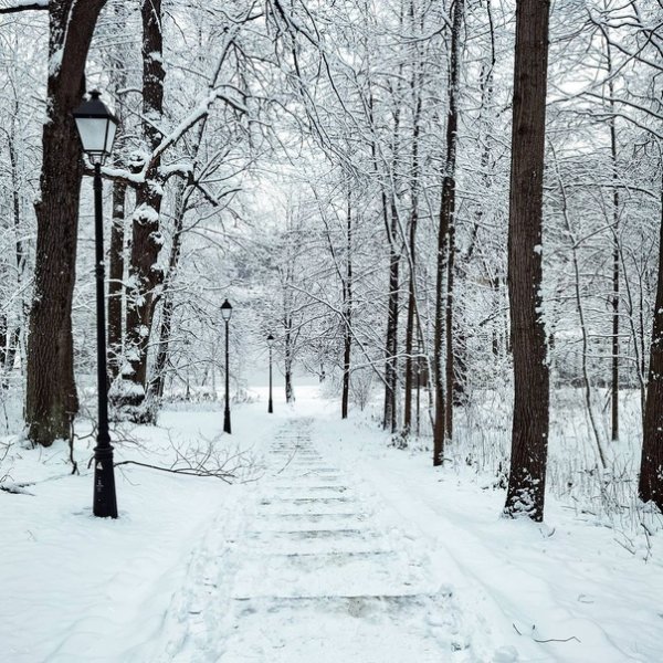 Парк Царицыно зимой 2021