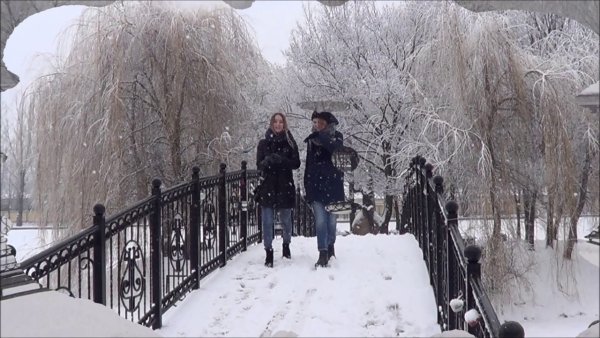 Прогулка в парке зимой