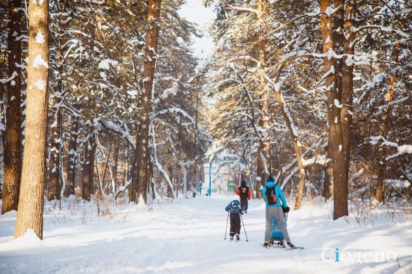 Сосновый Бор Кемерово зимой