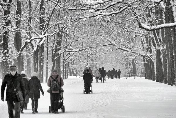 Люди в городе зимой