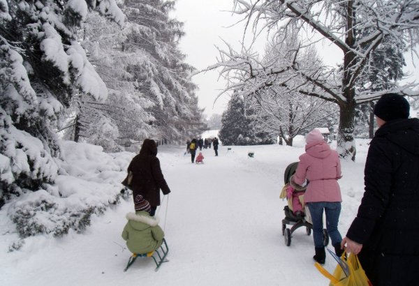 Прогулка в зимнем парке