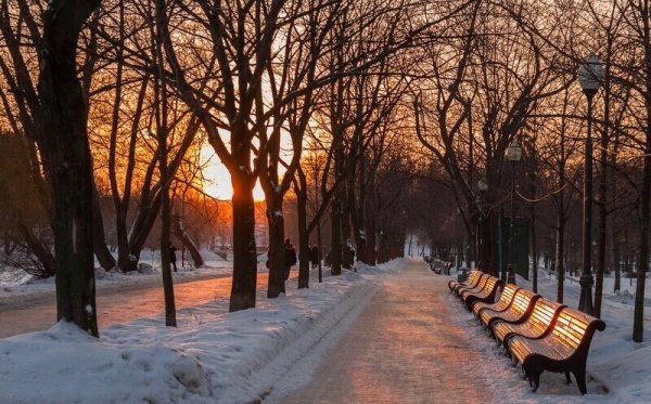 Прогулка по парку зимой