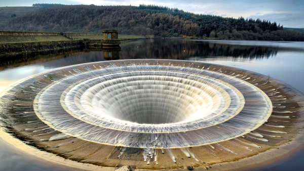 Ледибауэр, Англия