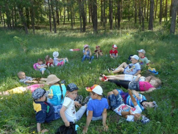 Поход в детском саду