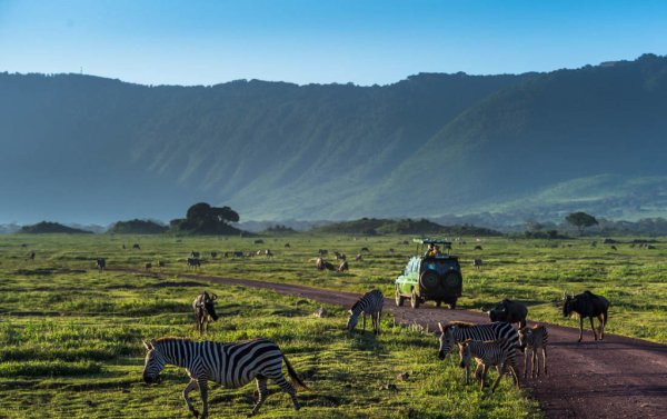 Национальный парк Нгоронгоро в Танзании