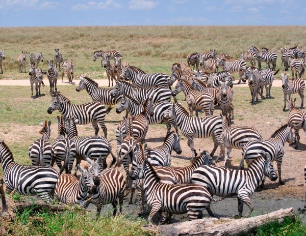 Национальный парк Диндер