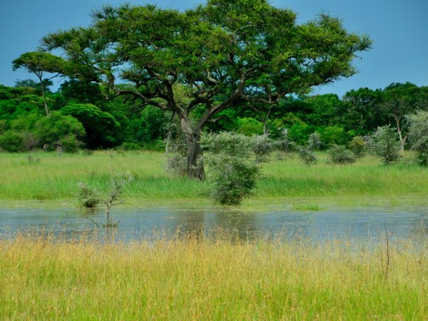 Национальный заповедник Серенгети в Танзании